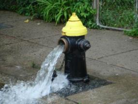 A fire hydrant open with water pouring out; being flushed